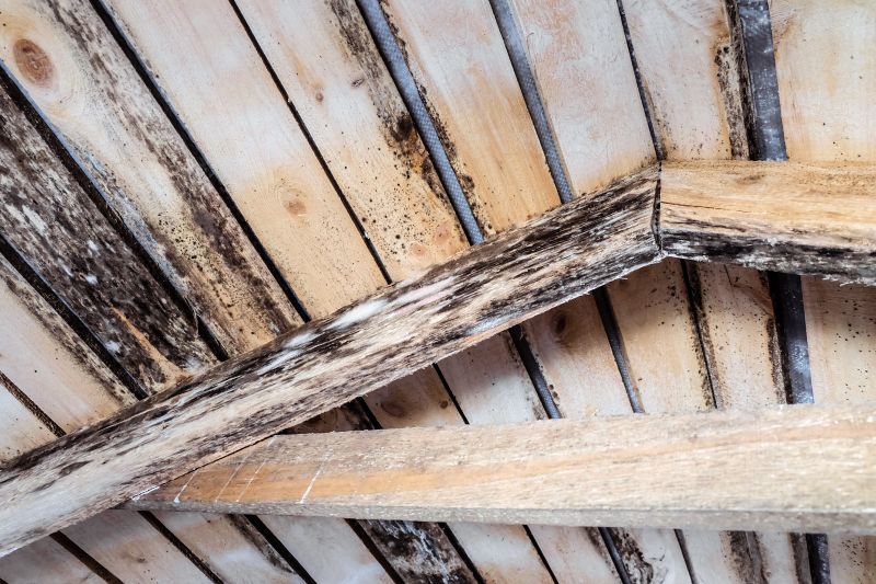 Roof Joist Repair
